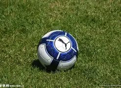 体育,资讯,B体育,B体育官网,B体育直播,体育赛事直播,足球直播