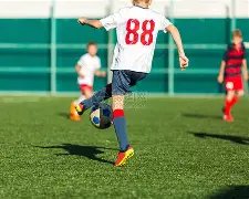 易方达家电,最新招募说,明书,B体育官网,B体育直播,体育赛事直播,足球直播