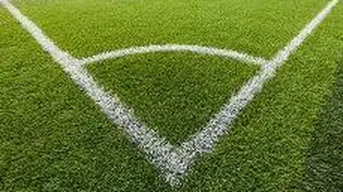 B体育 资讯 121329 v9d