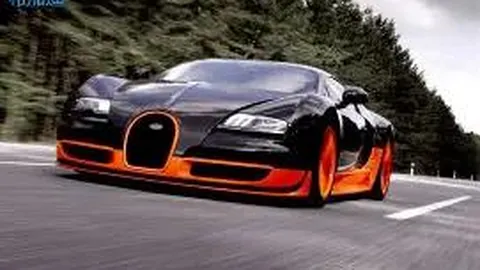 深圳之夜：奚梦瑶与何猷君揭示明星与贵族间的鸿沟